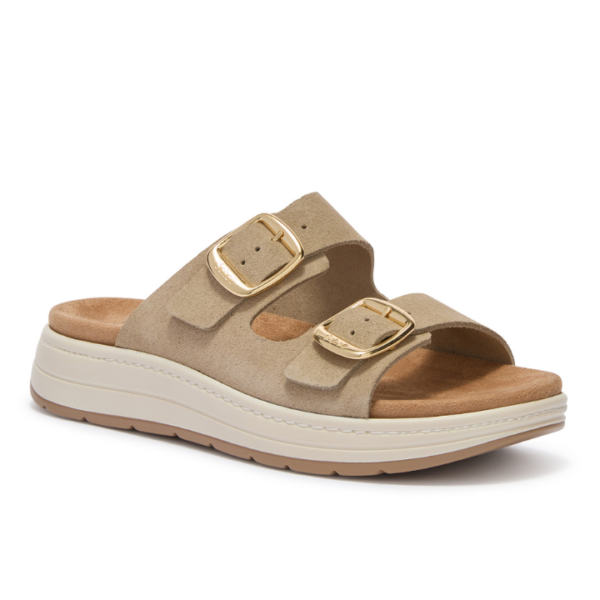 Scholl Scilla 2 Buckles Taupe Women